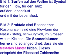 Bild 1: Surfen auf den Wellen ist Symbol  für den Flow, für den Tanz  auf der Lebenslust und mit der Lebenslust.   Bild 2: Fraktale sind Resonanzen.  Resonanzen sind eine Flowform der  Natur - stetig, schwungvoll, im Grossen  wie im Kleinen. Die Sonnenblumen- kerne sind so angeordnet, dass sie ein  fraktales Muster bilden. Dieses  entspricht der Fibonacci Zahlenreihe.