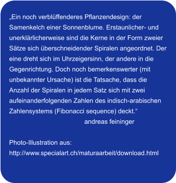 „Ein noch verblüffenderes Pflanzendesign: der Samenkelch einer Sonnenblume. Erstaunlicher- und unerklärlicherweise sind die Kerne in der Form zweier Sätze sich überschneidender Spiralen angeordnet. Der eine dreht sich im Uhrzeigersinn, der andere in die Gegenrichtung. Doch noch bemerkenswerter (mit unbekannter Ursache) ist die Tatsache, dass die Anzahl der Spiralen in jedem Satz sich mit zwei aufeinanderfolgenden Zahlen des indisch-arabischen Zahlensystems (Fibonacci sequence) deckt.“ andreas feininger  Photo-Illustration aus: http://www.specialart.ch/maturaarbeit/download.html
