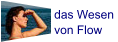 das Wesen  von Flow
