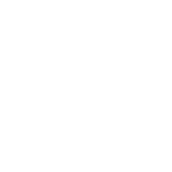 hinein in Erziehung       -      Führung     -     Beziehung