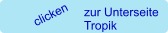 clicken zur Unterseite Tropik